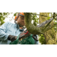 BOSCH UniversalChain 35 grandininis pjūklas